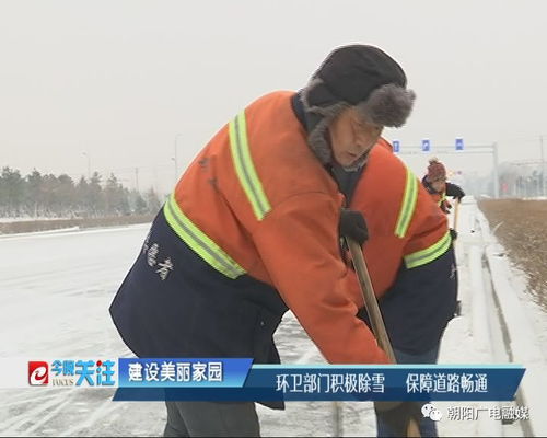 前天朝阳下大雪,凌晨3点有人拍下这一幕,让人泪目...