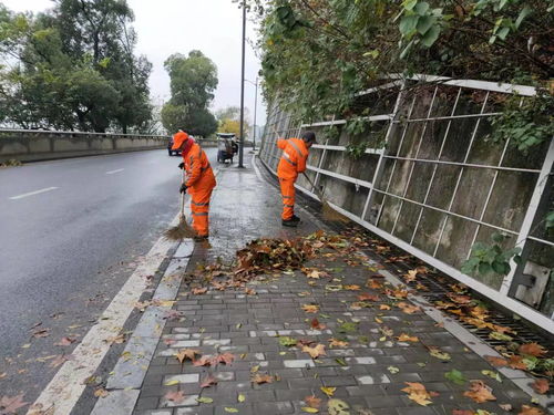 冬季道路清扫保洁 寒风落叶中坚守的仁仁洁环卫人