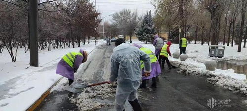 清扫 拉运 保洁, 三同步 开启香坊区清雪新模式